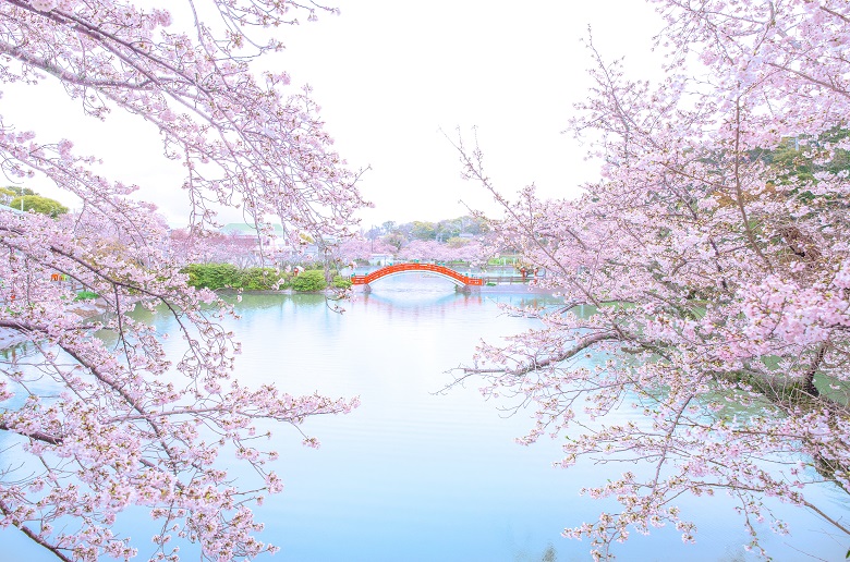 垣生公園