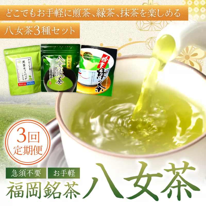 【3回定期便】福岡銘茶八女茶 急須要らずのお手軽セット【001-0364】