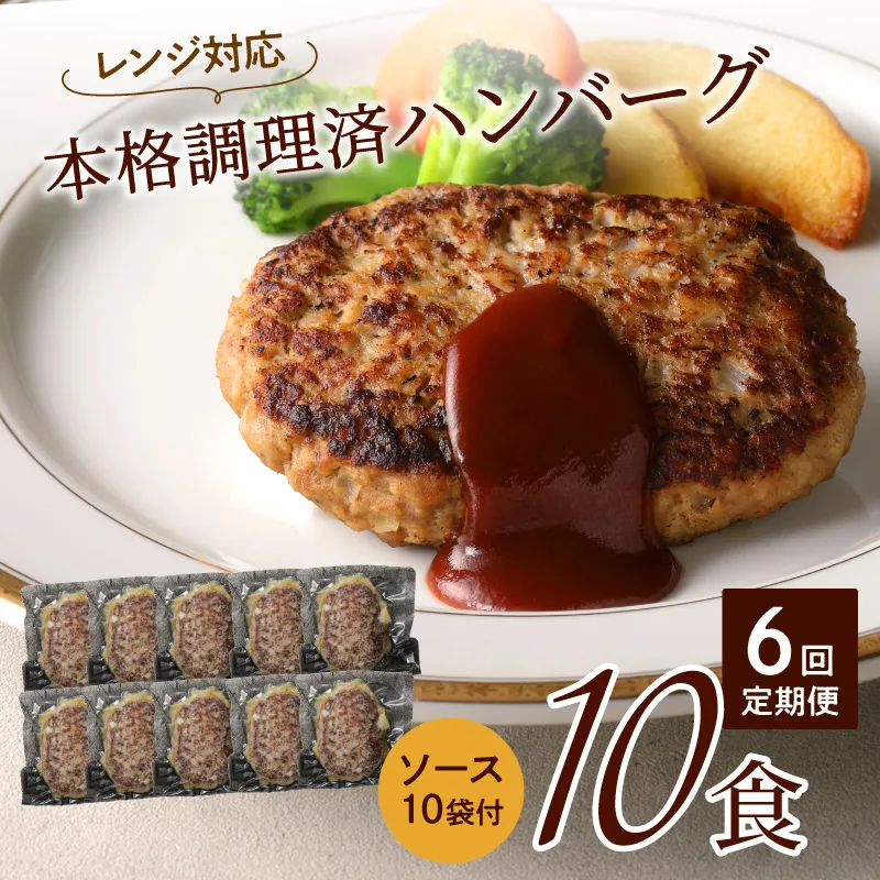 【6回定期便】本格調理済ハンバーグ10食 特製ソース付【001-0379】