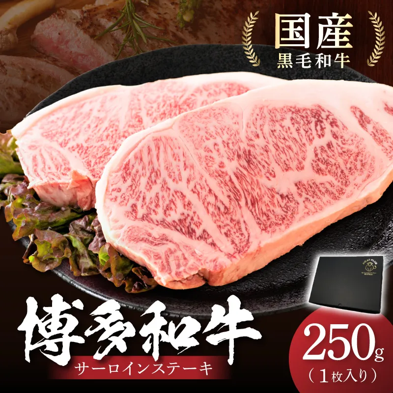 博多和牛サーロインステーキ　250g[250g×1枚]【014-0029】