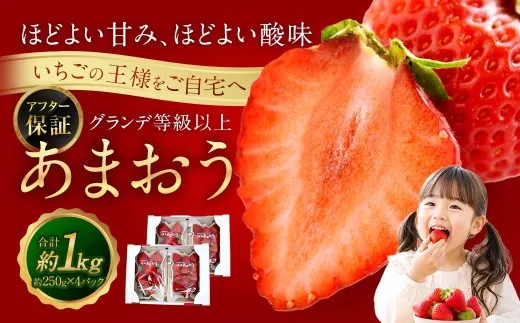 あまおう （ グランデ等級以上 ） 約250  × 4P 計約1,000 〜 1,080g いちご イチゴ 苺 果物 くだもの フルーツ 果実 果肉 いちごの王様 国産 福岡県産 冷蔵 【 2027年2月上旬〜4月下旬発送予定 】