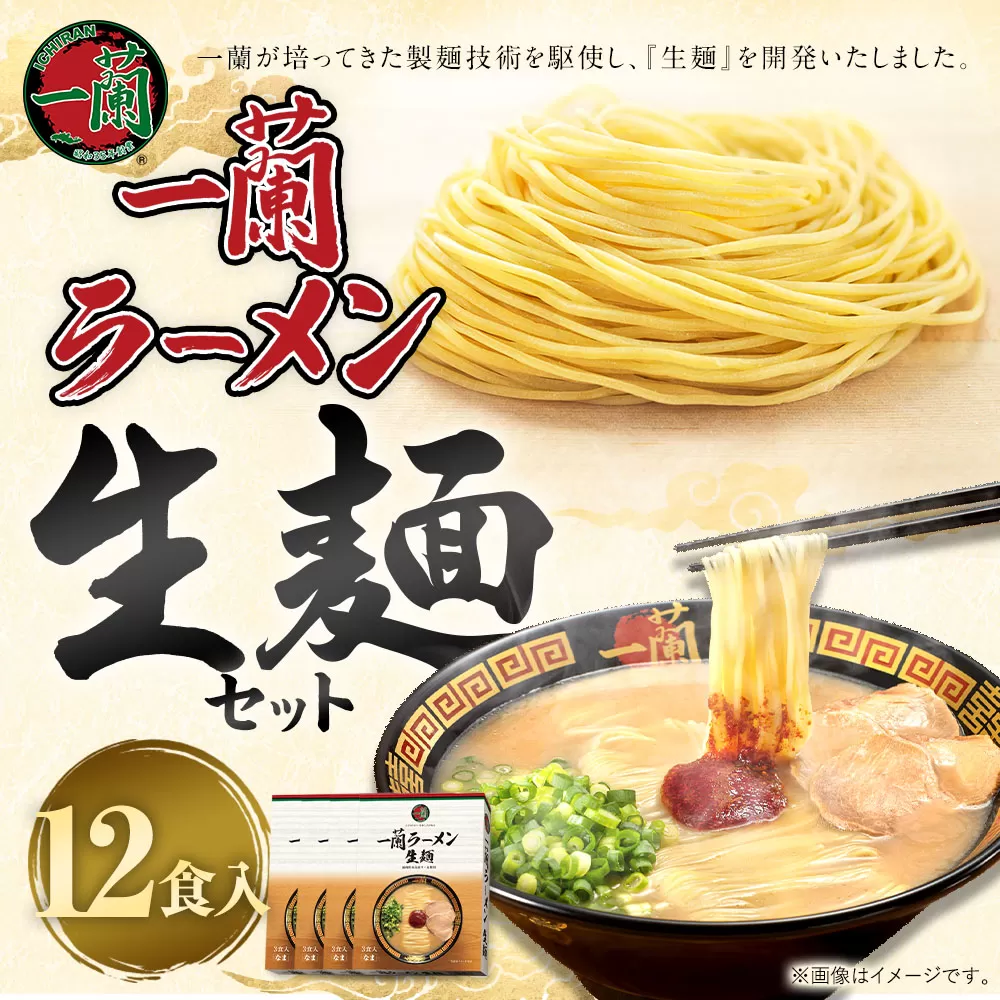 【寄附額値下げ！】一蘭ラーメン生麺セット （12食入）【2025年12月発送予定】  一蘭 ラーメン 生麺 麺 豚骨
