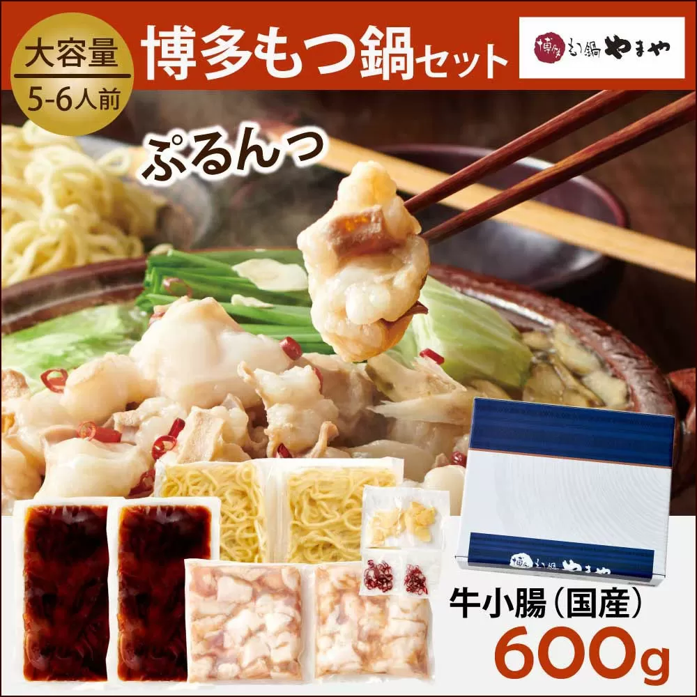 もつ鍋セット 牛もつたっぷり600g！大容量5-6人前(あごだし醤油味) 博多もつ鍋やまや