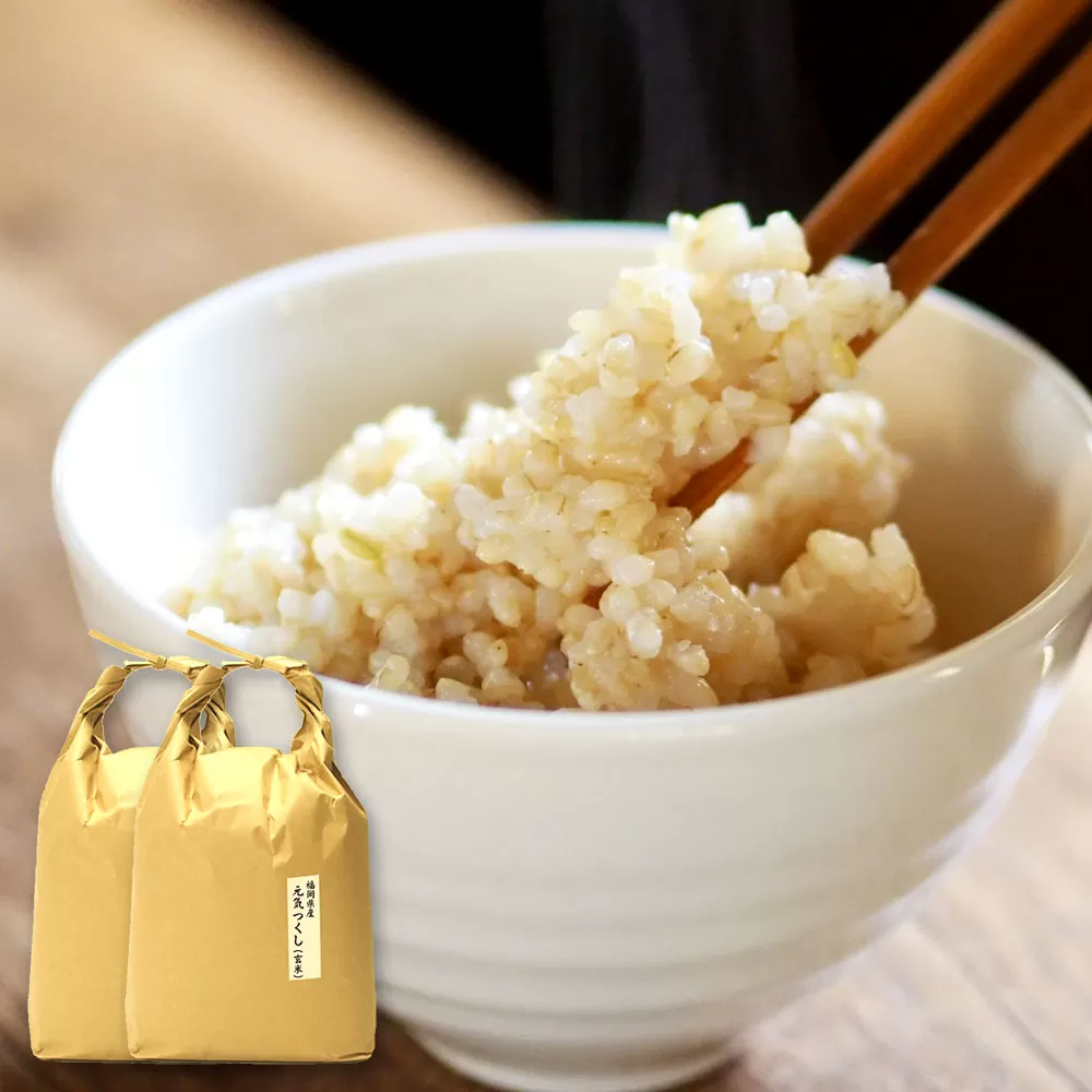 【令和6年産】福岡県産 【特A】評価のお米「元気つくし」5kg×2袋（10kg）玄米 お米 米