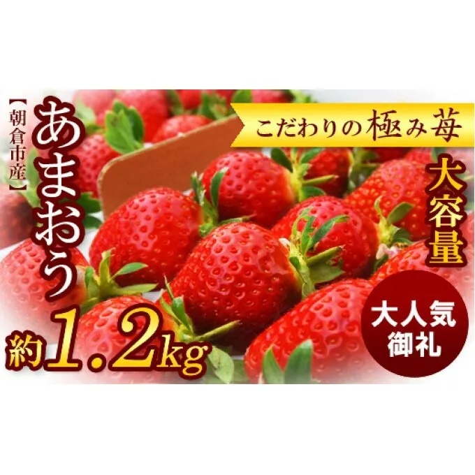 旬の あまおう（約200g×6パック）★Cafe 楓★【配送不可：北海道・東北・沖縄・離島】 果物類 いちご 苺 イチゴ 