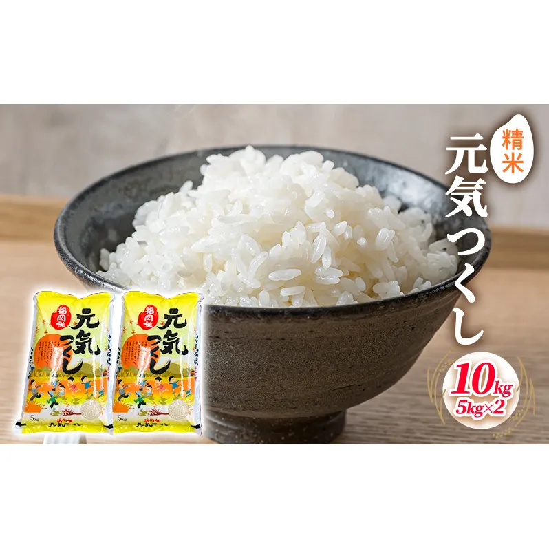 米 10kg 元気つくし 5kg×2袋 精米 こめ コメ お米 白米