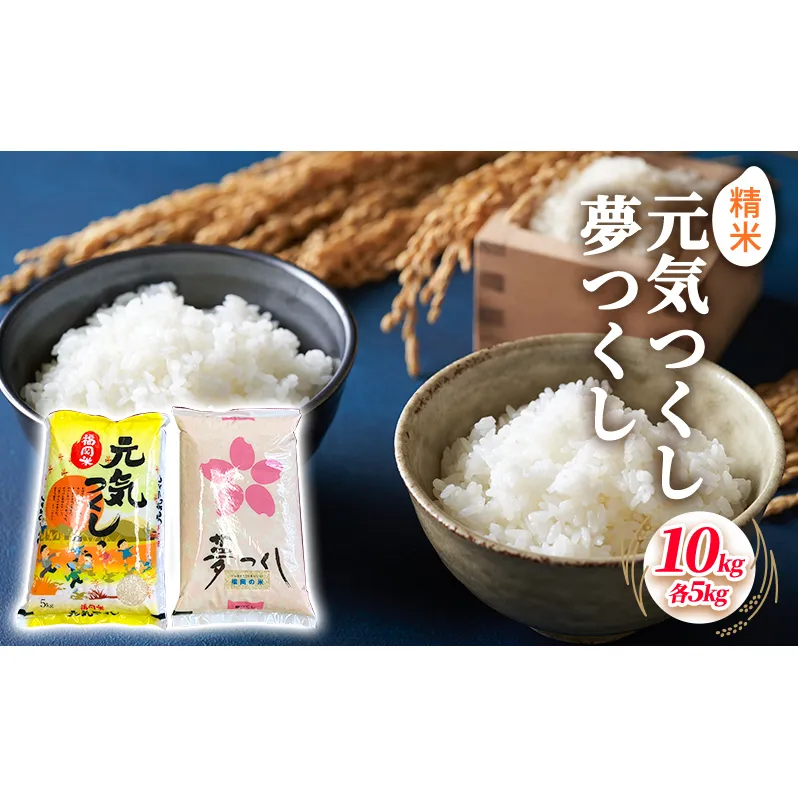米 10kg 食べ比べ セット 元気つくし 5kg 夢つくし 5kg こめ コメ お米 精米 白米