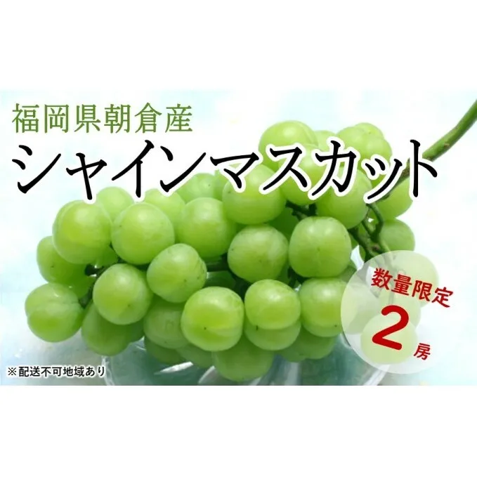 シャインマスカット 2房 化粧箱（約1～1.2kg）★(有)ティース【配送不可：沖縄・離島】 果物類 ぶどう ブドウ フルーツ 