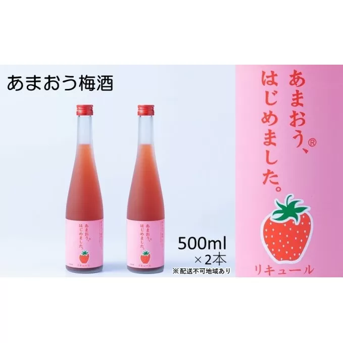 梅酒 あまおう梅酒 あまおうはじめました。500ml×2本 お酒 アルコール アルコール飲料 苺 フルーツ 飲み会 甘いお酒 宅飲み 