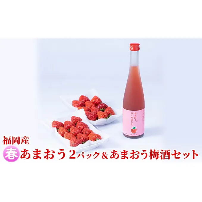 いちご あまおう 2パック 春 ＆あまおう梅酒 あまおうはじめました。 500ml×1本セット 配送不可 離島 お酒 アルコール 苺 フルーツ 飲み会 甘いお酒 宅飲み 果物 詰め合わせ 