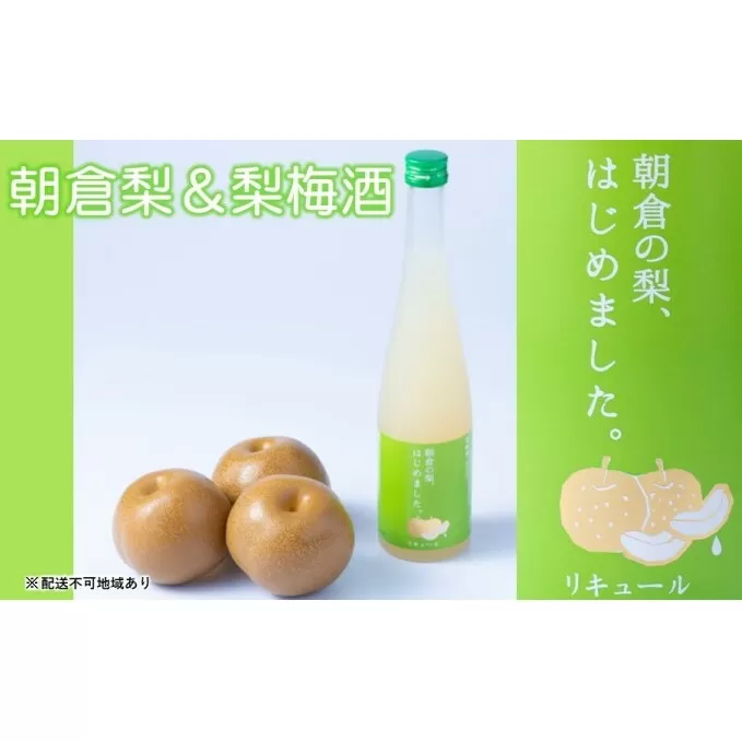 梨 くだもの梨 2～3個＆梨梅酒 朝倉の梨はじめました。500ml×1本セット 配送不可 離島 お酒 アルコール アルコール飲料 ナシ フルーツ 飲み会 甘いお酒 宅飲み 果物 詰め合わせ 