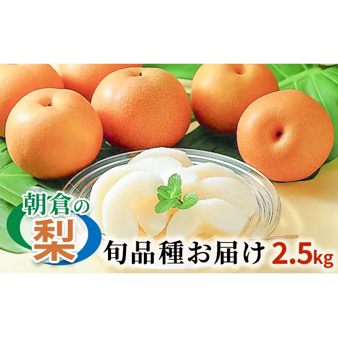 梨 季節の朝倉の梨 2.5kg 2-6玉 配送不可 離島 果物 フルーツ デザート おやつ 福岡県産 朝倉市産 秋の味覚 幸水 豊水 秋月 新高 南水 