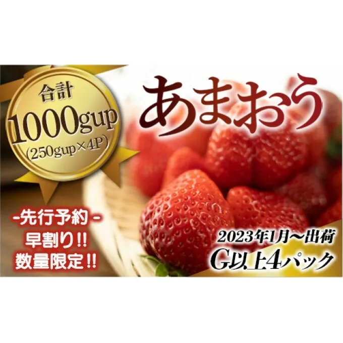 福岡県産 あまおう G以上 1000g（4パック）先行予約 2023年1月～3月末発送予定 ※配送不可：離島 果物 フルーツ いちご デザート 食後 おやつ 特大Gサイズ 濃縮 大粒いちご 朝倉市産 