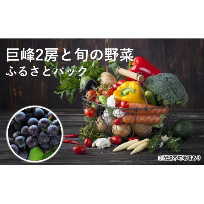 巨峰2房と旬の野菜のふるさとパック【配送不可：離島】 野菜の詰め合わせ 詰め合わせ セット 果物 ぶどう フルーツ お楽しみ 産地直送 福岡県産 朝倉市産 食材 料理 