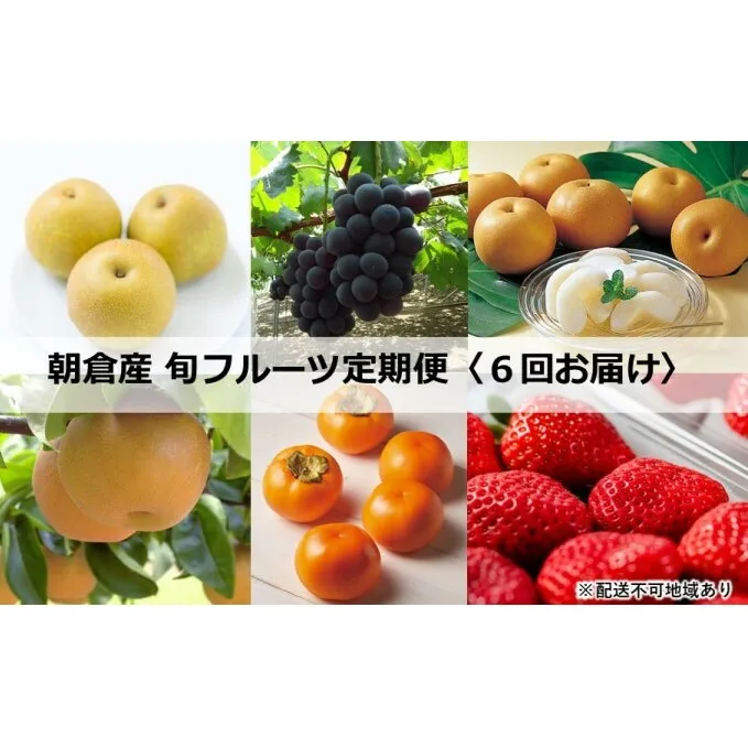 定期便【先行予約・2023年お届け】フルーツ 朝倉産 旬の果物 6回お届け お楽しみ ※配送不可：離島 旬のフルーツ 梨 葡萄 苺 