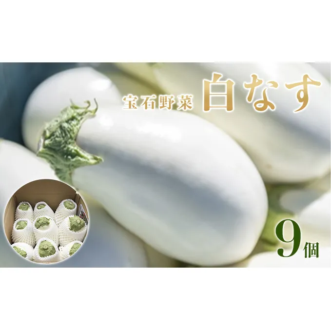 なす ナス 白なす 宝石野菜 9個入 茄子 絶品 果肉 軟らかい アク 少ない 癖がない トロトロ 