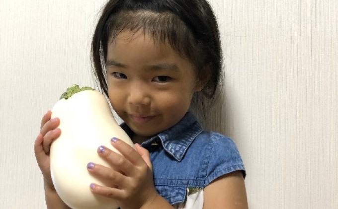 なす ナス 白なす 宝石野菜 桐箱 2個入 贈答 茄子 絶品 果肉