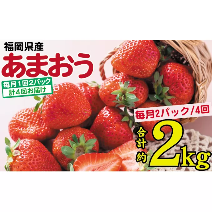 フルーツ 定期便 4ヶ月 2024発送 あまおう いちご 2パック イチゴ 苺 4回 お楽しみ ※配送不可：離島 