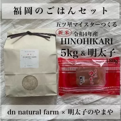 福岡のごはんセット【農家直送】 新米ヒノヒカリ5kg × やまや『うちのめんたい180g』※配送不可：離島 お米 魚貝類 明太子 