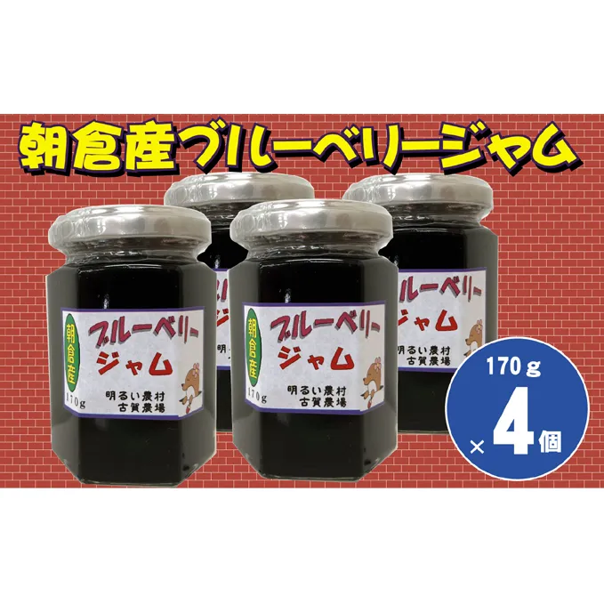 ブルーベリージャム 170g×4個 ヨーグルト 美味しい お通じ 目に優しい セット 詰合せ トッピング 