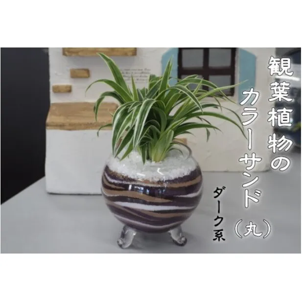 カラーサンド（ガラス花器：丸）ダーク系 植物 インテリア 飾り 緑 グリーン 部屋 玄関 キッチン 洗面所 丸型 グリーンインテリア 