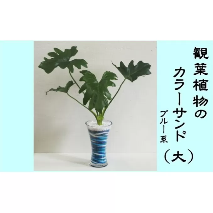 カラーサンド（ガラス花器：大）ブルー系 植物 インテリア 飾り 緑 グリーン 部屋 玄関 グリーンインテリア アート感覚 寄せ植え 1点もの 