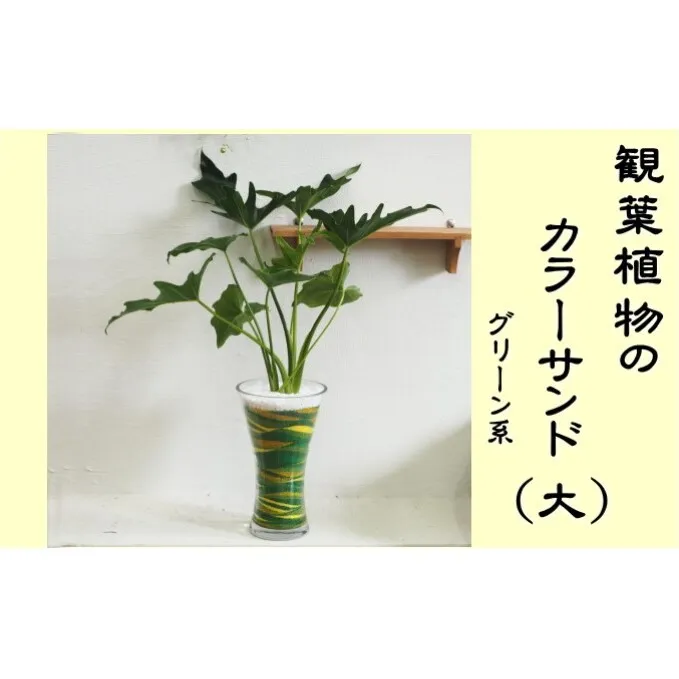カラーサンド（ガラス花器：大）グリーン系 植物 インテリア 飾り 緑 部屋 玄関 グリーンインテリア アート感覚 寄せ植え 1点もの 