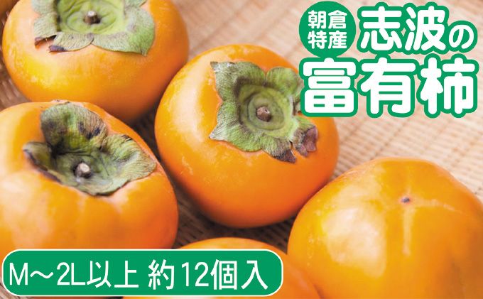 2025年先行予約 志波の富有柿 M~2Lサイズ×約12個入 発送予定 2025年先行予約 志波の富有柿 M~2Lサイズ×約12個入 発送予定