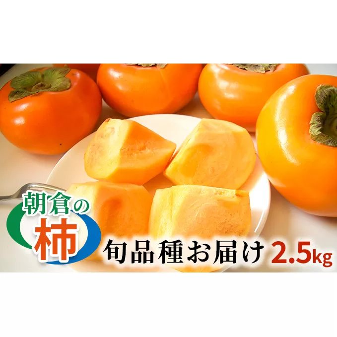 柿 朝倉の柿はじめました。季節の朝倉の柿 約2.5kg 8-10玉 配送不可 離島 果物 フルーツ 秋の味覚 旬 デザート 果実 おやつ 美味しい品種 厳選 お届け 