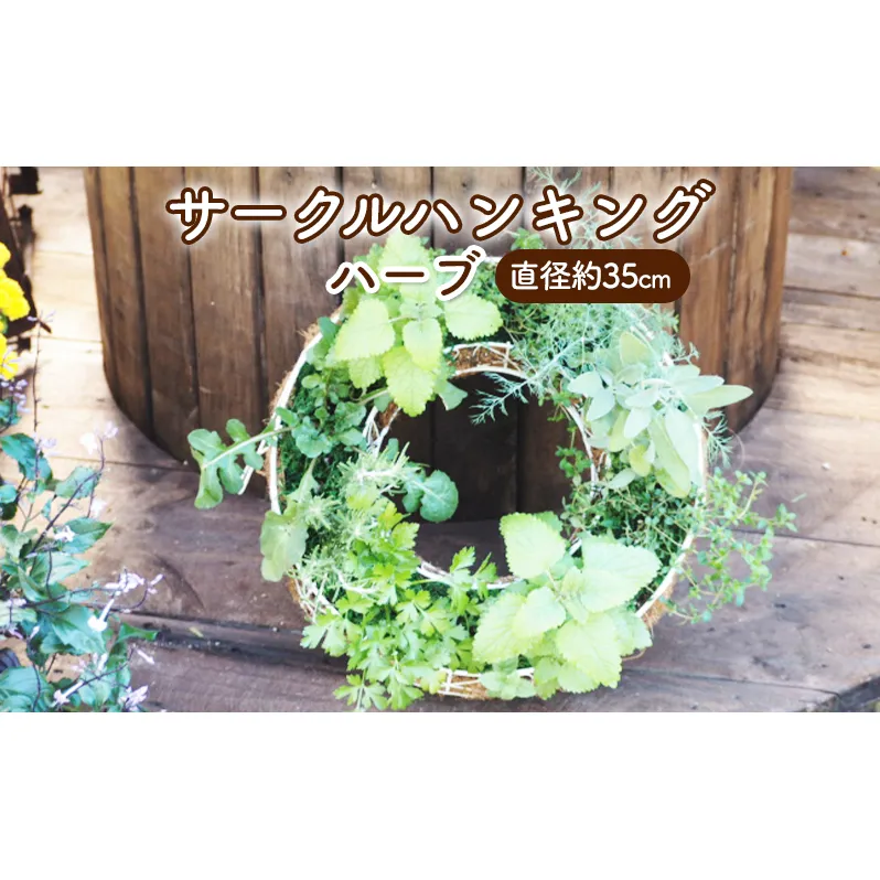 ハーブ サークルハンキング 直径35cm 植物 インテリア ガーデン 