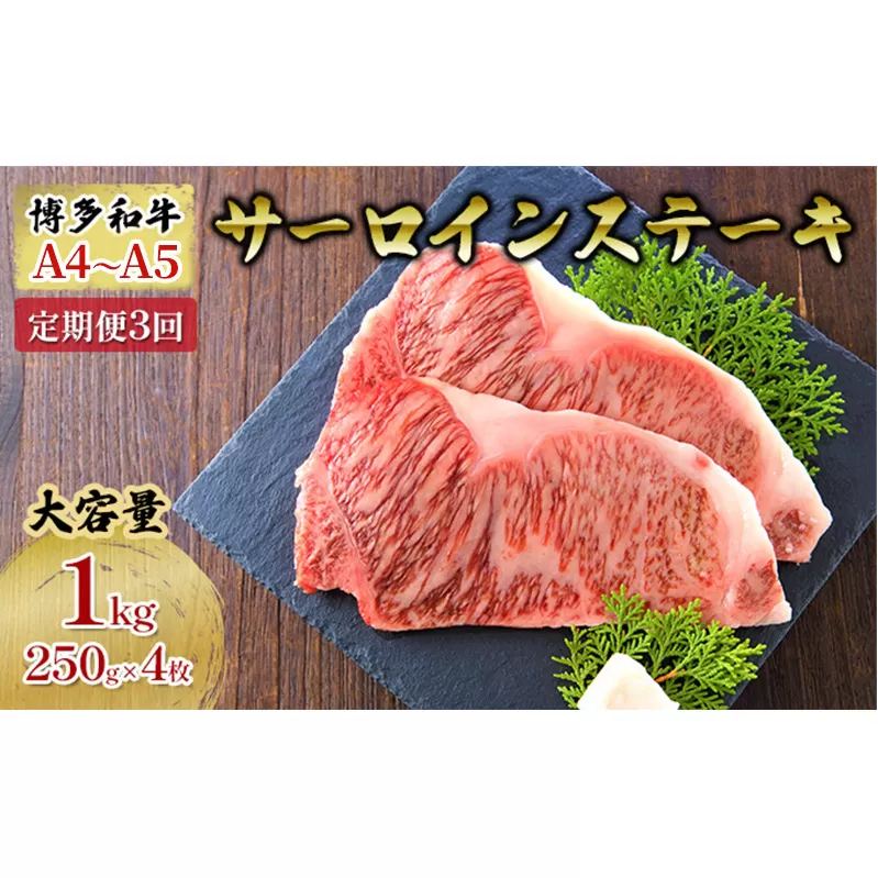 定期便 3ヶ月 牛肉 サーロイン ステーキ 合計1000g 博多和牛 A4～A5（250g×4枚）セット 3回 配送不可：離島 