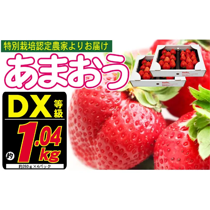あまおう DX等級のみ 約1.04kg 約260g×4パック ※配送不可：北海道・東北・沖縄・離島 果物 苺 フルーツ デザート 旬 大粒 中玉 大玉 旬のあまおう 