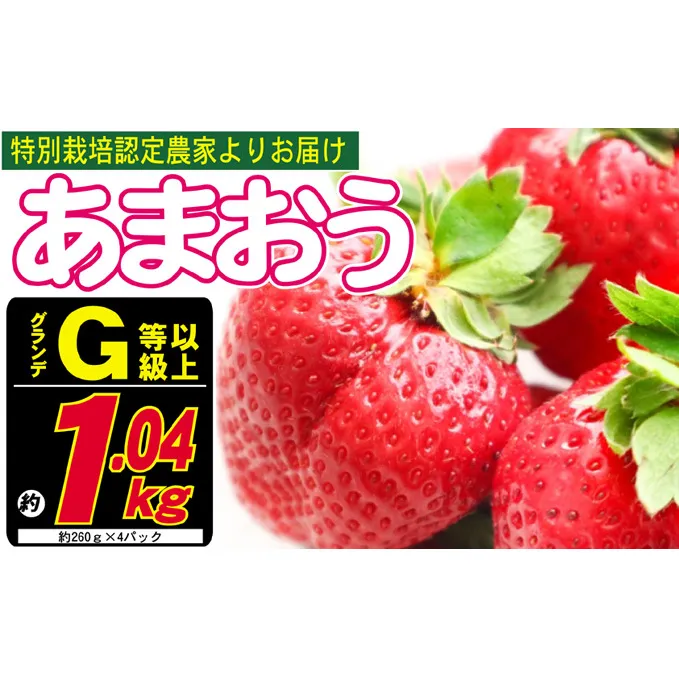 あまおう G以上 約1.04kg 約260g×4パック ※配送不可：北海道・東北・沖縄・離島 果物 苺 フルーツ デザート 旬 大粒 グランデ等級以上 旬のあまおう 福岡の特産品 