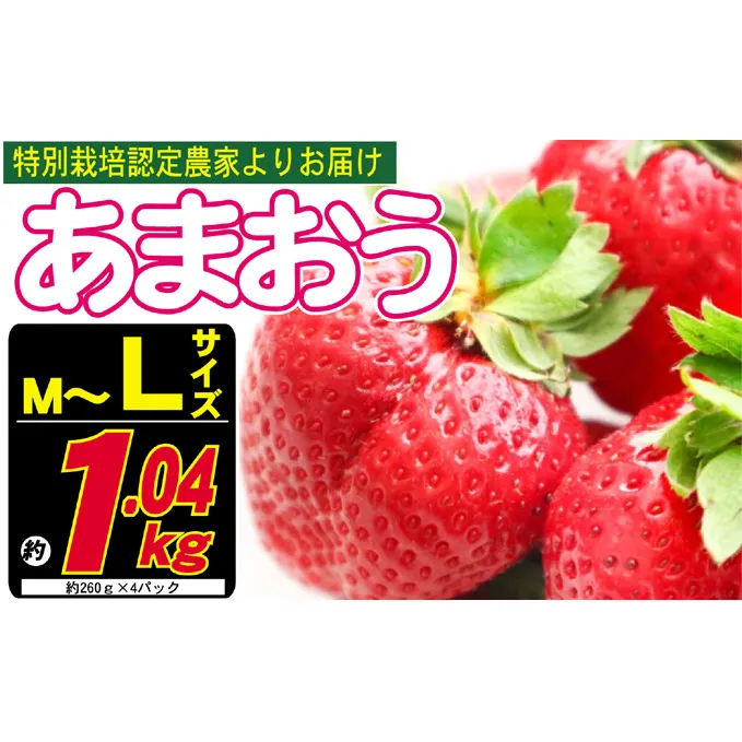あまおう M～L 約1.04kg 約260g×4パック ※配送不可：北海道・東北・沖縄・離島 果物 苺 フルーツ デザート 旬 大粒 M～L以上 旬のあまおう 福岡の特産品 