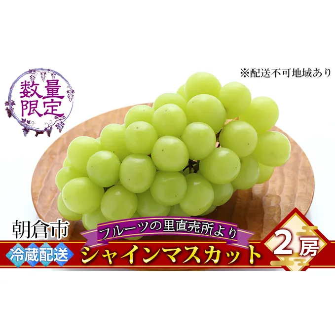 シャインマスカット 2房 フルーツの里の直売所より 葡萄 果物類 ぶどう 皮ごと 高い糖度 ※配送不可：離島