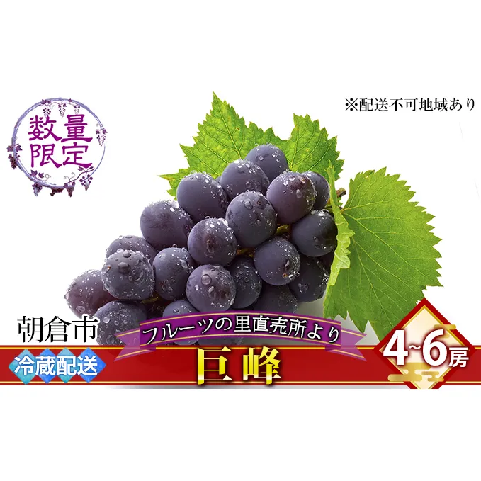 フルーツの里の直売所より 巨峰 果物類 ぶどう ※配送不可：離島