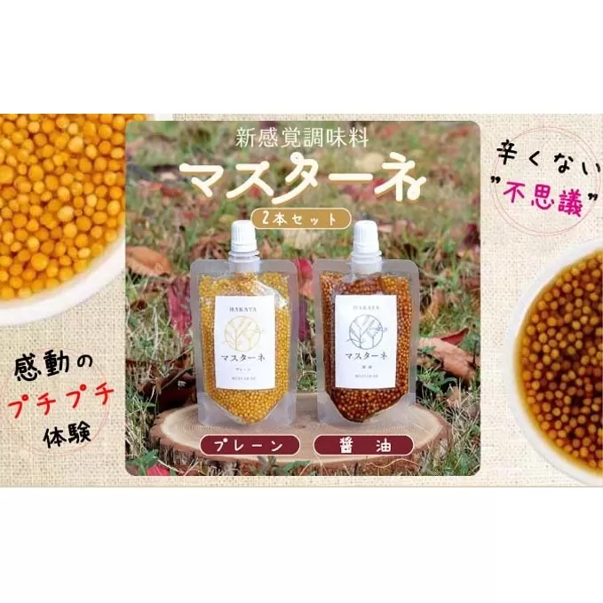調味料 マスターネ プレーン しょう油 2本セット 100g×各1 マスタード 食べ比べマスタードシード 味付け 辛くない 料理 アクセント和食 洋食 中華 万能調味料 