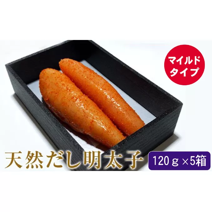 辛子明太子 天然だし 明太子 120g マイルド×5セット 配送不可 離島 マイルドな辛さ 至福の味 簡易贈答用 ギフト ご飯のお供 お茶漬け 冷蔵 