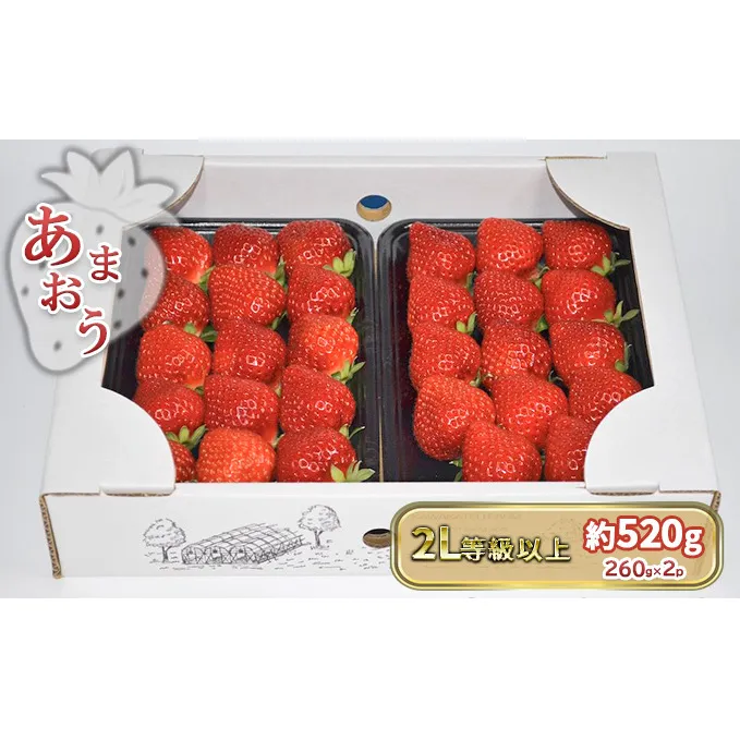 いちご あまおう 2L以上 約520g（260g×2パック）配送不可 北海道 東北 沖縄 離島 