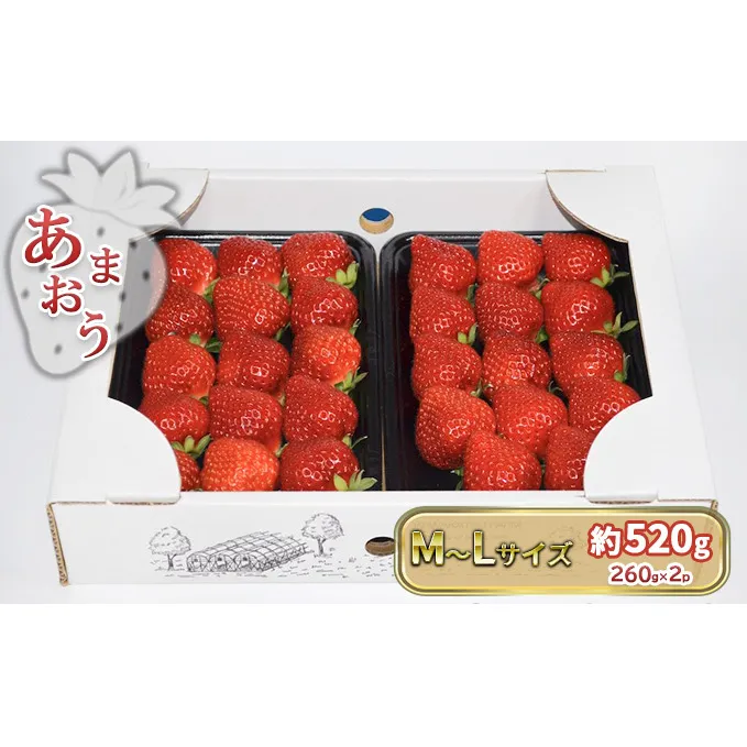 いちご あまおう M～Lサイズ 約520g（260g×2パック）配送不可 北海道 東北 沖縄 離島 