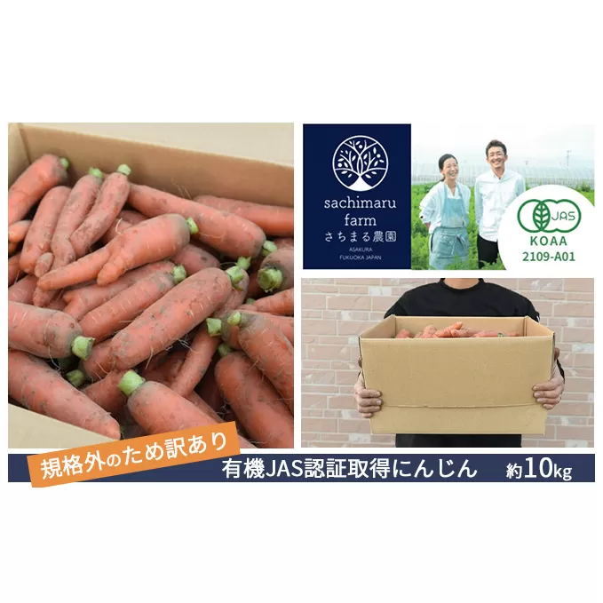 訳あり 規格外 にんじん 約10kg 有機JAS認証取得 栽培期間中農薬 除草剤 化学肥料不使用 野菜 食材 緑黄色野菜 国産野菜 えぐみがない 甘い人参 産地直送 キャロット ベジタブル 