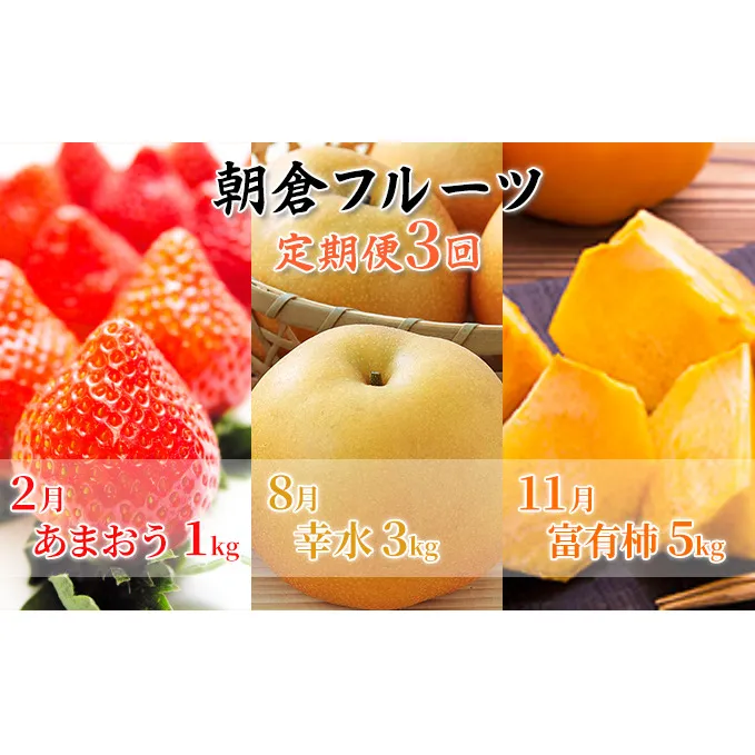定期便 フルーツ 3回 お届け 数量限定 いちご 梨 柿 朝倉 フルーツ定期便 2024年発送 オンライン決済限定 配送不可 離島 果物類 大粒 甘い フレッシュ ジューシー 王様 