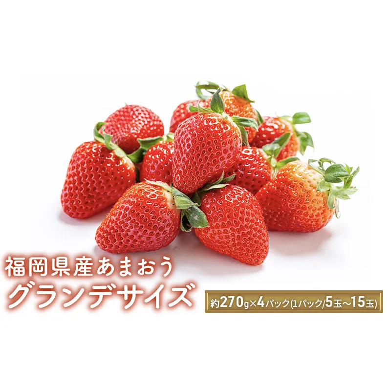あまおう いちご 福岡 グランデサイズ 約270g×4パック（1パック／5玉～15玉）いちごの王様 イチゴ 苺 2024年2月から発送 配送不可：北海道、離島 