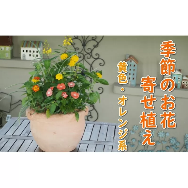植物 寄せ植え 季節のお花 黄色 オレンジ系 つぼ丸型 25cm ガーデニング 花 