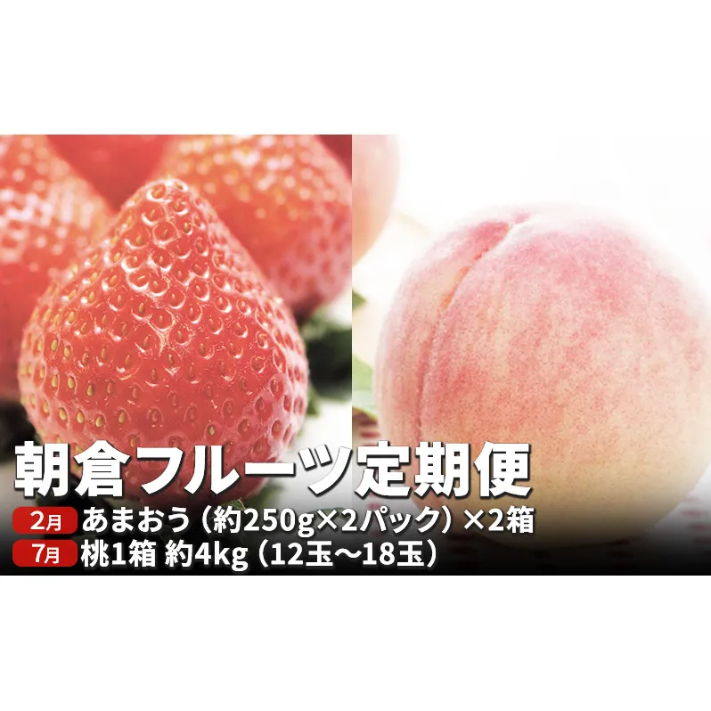 定期便 フルーツ 2回 限定 数量 いちご 約1kg もも 約4kg フルーツ定期便 朝倉 2024年発送 お届け 桃 モモ イチゴ あまおう 果物 くだもの デザート お楽しみ オンライン決済限定 配送不可：離島 