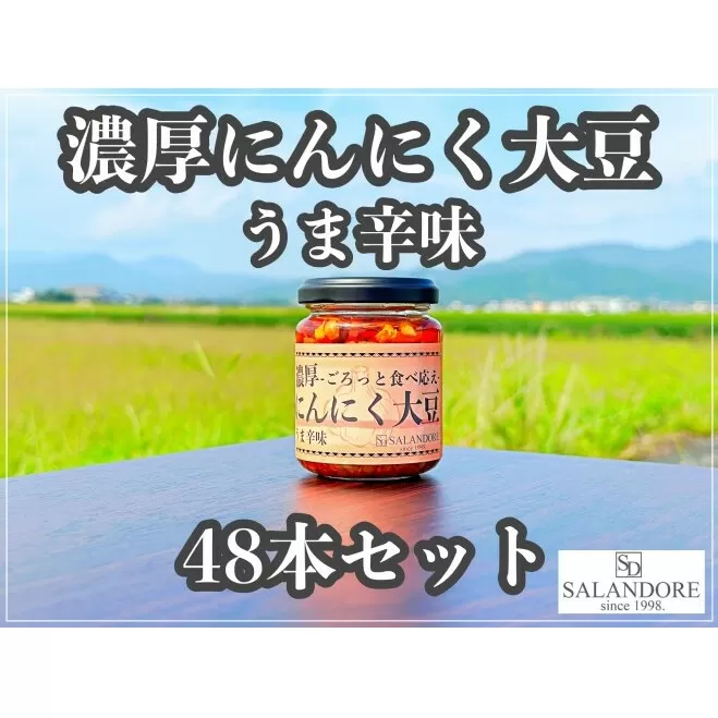 濃厚にんにく大豆 うま辛味 110g×48本 セット 