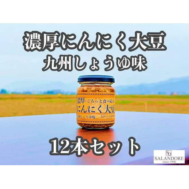濃厚にんにく大豆_九州しょうゆ味_12本セット 加工食品 豆類 大豆ミート 独自製法 高たんぱく 食物繊維 ミネラル ビタミン オリジナルの味付け プレーン 