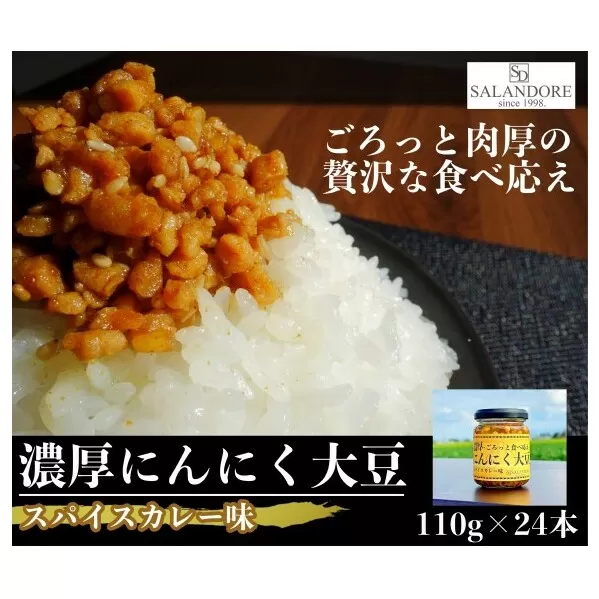 濃厚にんにく大豆_スパイスカレー味_24本セット 加工食品 豆類 大豆ミート 独自製法 高たんぱく 食物繊維 ミネラル ビタミン オリジナルの味付け 