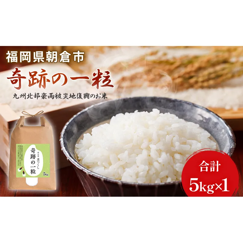 米 5kg 恵つくし 奇跡の一粒 5kg×1 令和6年産 お米 こめ コメ 新品種 