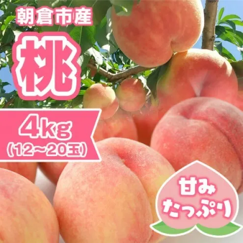 桃 朝倉市産 約4kg 12～20玉 もも モモ 果物 デザート ※配送不可：離島 